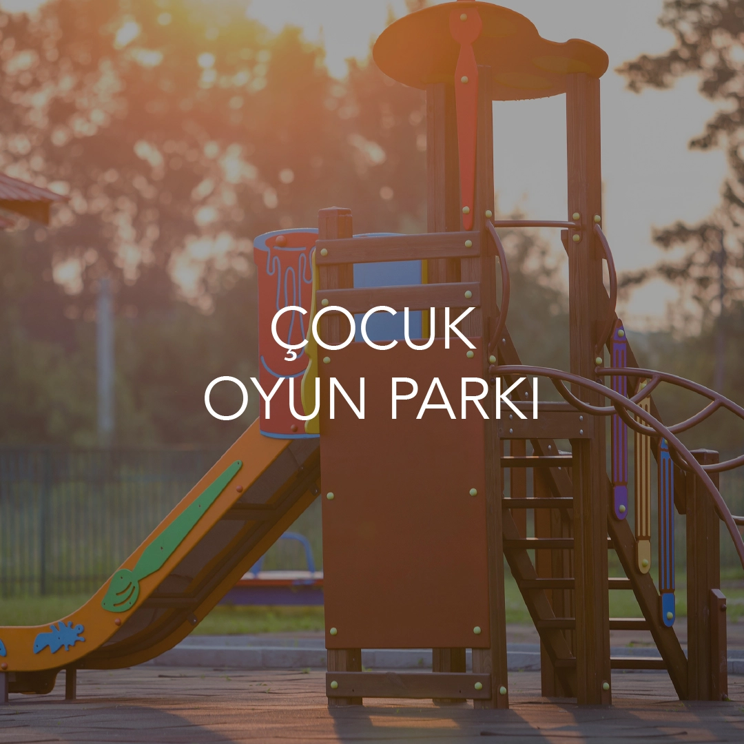 Teraphill 15 geniş sosyal ayrıcalıklar görseli 2