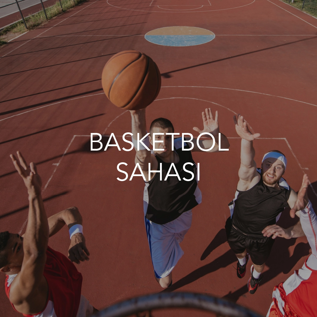 Teraphill 15 geniş sosyal ayrıcalıklar görseli 4