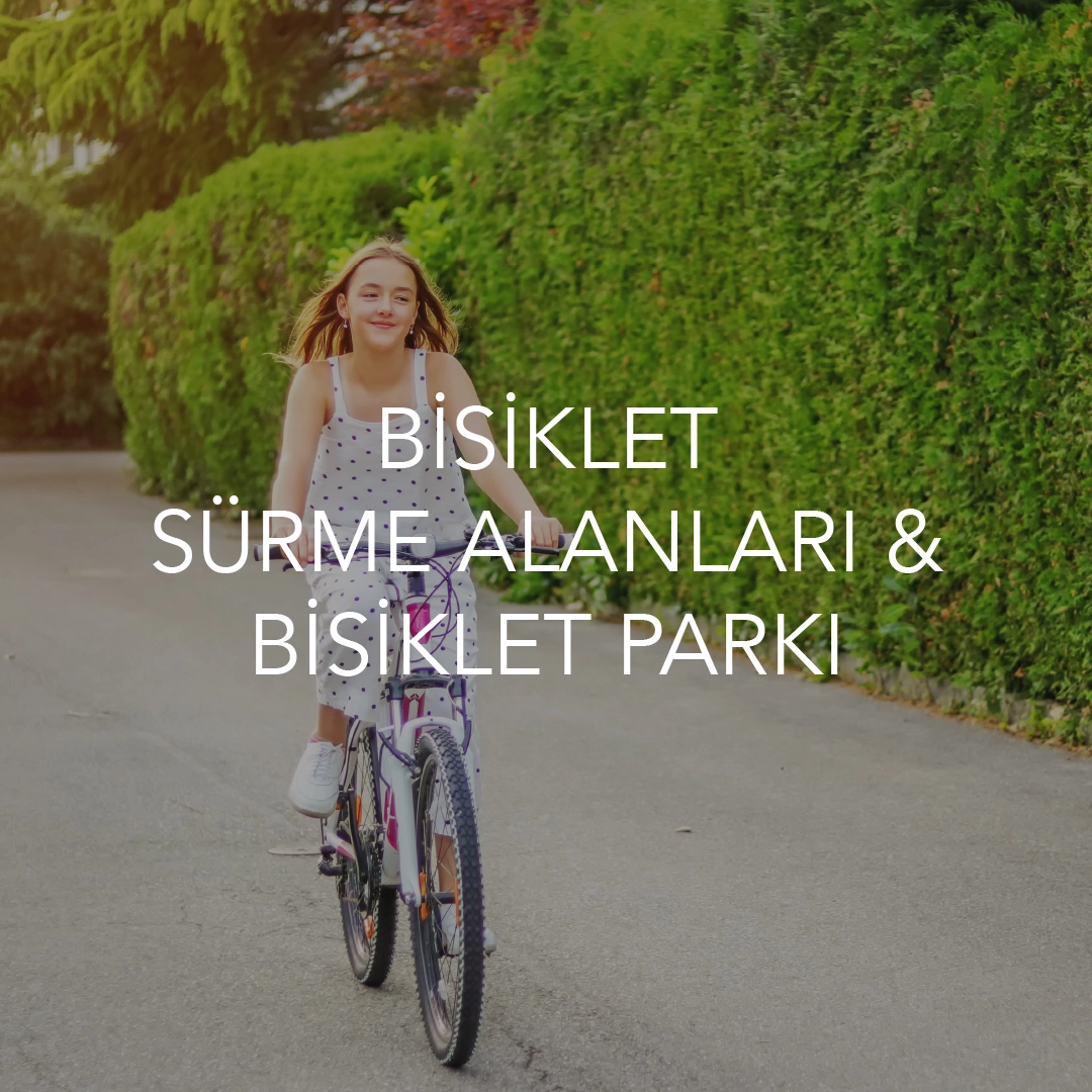 Teraphill 15 geniş sosyal ayrıcalıklar görseli 6