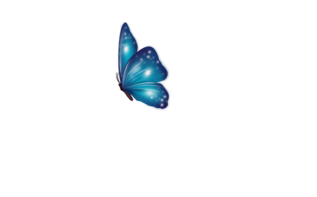 Teraphill 15 Şile konut projesi logosu